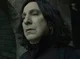 Severus T Snape