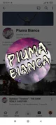 Piuma bianca 