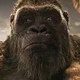 Titanus Kong