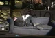 Gerard Way