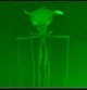 Magnapinna Squid