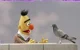 Bert