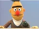 Bert
