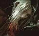 Lady Maria