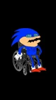 Shin Sonic