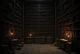The Abandoned Libary