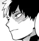 Shoto Todoroki