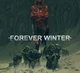 The Forever Winter