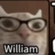 William-Kitty land