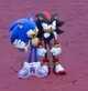 Sonic and Shadow 