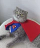 Supercat