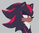 Shadow T Hedgehog 