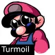 Turmoil Mario