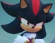 Shadow The Hedgehog