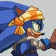 Sonic The Pirate