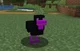Ender Chicken