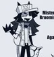 Mister Broomire