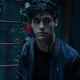 Alec Lightwood 
