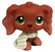 LPS Spaniel 252