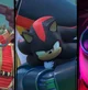 Shadow T Hedgehog 