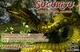 Sucuriju vore