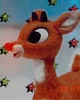 Rudolph 