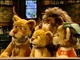 The Lions