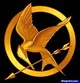 The hunger GAMES