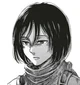 Mikasa Ackerman 