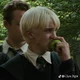 Draco y