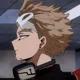 Hawks
