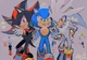 Sonic Shadow Silver 