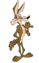 Wile E 