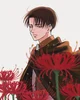 Levi Ackerman 