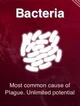 Bacteria Plague Inc