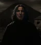 Adult Snape
