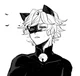 Chatnoir