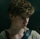 Newt
