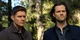Winchesters