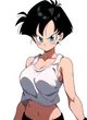 Videl Z Novia
