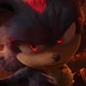 Shadow the hedgehog 