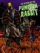 Pumpkin Rabbit