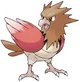 Spearow
