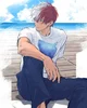 Shoto Todoroki