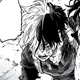 O1  Shoto Todoroki