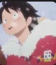 Luffy -girls only-