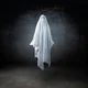 Ghost in your house