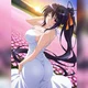 Akeno Himejima NTR