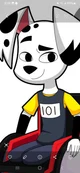Delgado Dalmatian