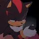 Shadow T Hedgehog 